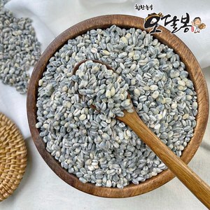 힘찬농부 국산 청보리 녹색보리 청맥, 1개, 5kg