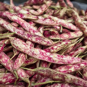 국산 햇 호랑이콩 햇콩 밤콩 500g 1kg 2kg, 1박스, 호랑이콩(껍질째)
