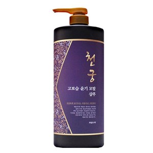 과일나라 천궁 고보습 윤기 모발 샴푸 1500ml -D, 1개, 상세페이지 참조