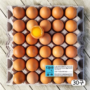 농장직송 항생제 없는 신선한 계란 대란