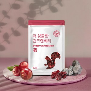 산과들에 건 크랜베리, 건크랜베리500g*1봉_농산물 중량_상세페이지참조, 1개