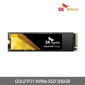 SK하이닉스 Gold P31 M.2 NVMe 500GB