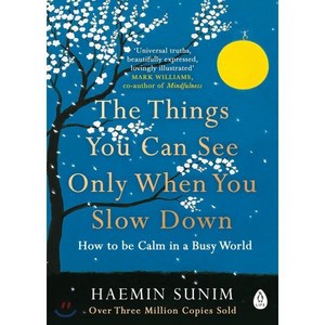 The Things You Can See Only When You Slow Down : How to be Calm in a Busy Wold Papeback 영국판, Penguin Books Ltd (UK)