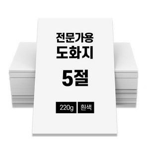 전문가용 도화지 220g 100매 흰색 5절