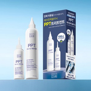 박준뷰티랩 PPT 단백질 트리트먼트 250ml+100ml, 1개, 350ml