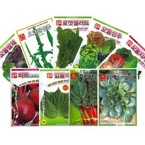 에스몰 다양한 종류의 새싹씨앗 잎채소씨앗 씨앗, 17) 로켓샐러드(루콜라) 씨앗