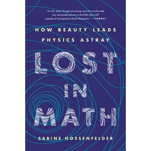 (영문도서) Lost in Math: How Beauty Leads Physics Astay Papeback, Basic Books