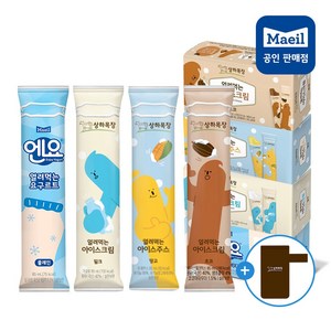 매일유업 얼려먹는 아이스크림 (밀크6 초코6 망고6 엔요6) 홀더, 85ml