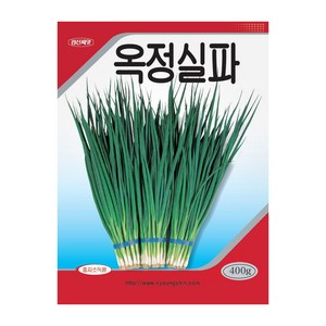 경신종묘 실파씨앗 옥정실파 400g, 1개