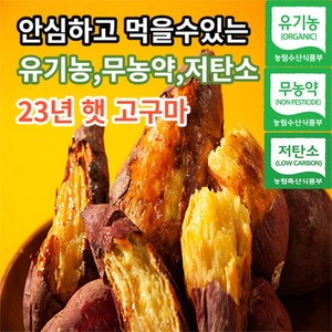 [믿고먹는유기농] 친환경 무안 유기농 베니하루카 꿀고구마 퍽퍽한 밤 호박 고구마 3kg 5kg 10kg 한입 중 상 대, 1개, 3kg 상