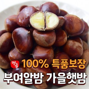 [특선별] 2024 햇밤 국산 부여 알밤 생 왕밤, 1개, 4kg