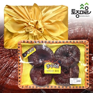토종마을 영지버섯 선물세트 보자기포장 300g, 1개