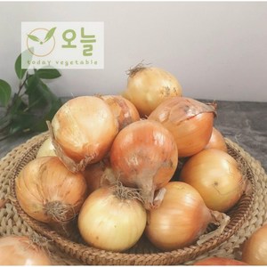 [오늘야채]25년 창녕 햇양파(중) 산지직송, 1개, 5kg