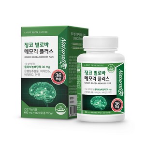 징코 빌로바 메모리플러스 180캡슐 6개월분 플라보놀배당체 은행잎추출물, 650mg