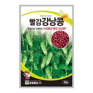 모칸도 세계종묘 강낭콩씨앗 빨강 강낭콩 30g, 1개