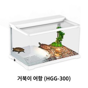 아마존 디아망 곡유리 거북이 사육장 HGG-300, 1개