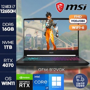 [MSI] 노트북 정품 win11 설치 GF66 B12VGK (451) i7-12650H (RTX4070) MSI 최신 게이밍 고사양 노트북, 블랙, MSi GF66 B12VGK (451), 코어i7, 1TB, 16GB, WIN11 Pro