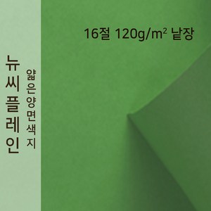 뉴씨플레인 종이문화 얇은 양면색지 120g 16절 낱장 1매 No.60 초록, 1장