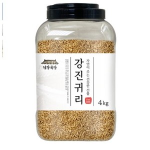 건강곡간 강진귀리 통, 4kg, 1개