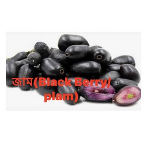 S.N. FOOD FROZEN BLACKBERRY(PLUM)(냉동 블랙베리)방글라데시과일 500G/1통, 미개봉상태에서 24시안으로 반품가능, 500G, 1개