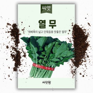 열무 씨앗(20g), 1개