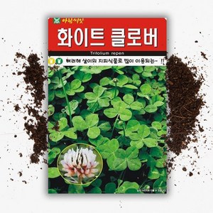 화이트 클로버씨앗 (20g), 1개