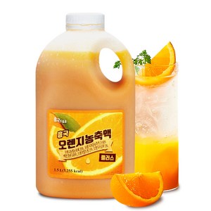 흥국에프앤비 흥국 FnB 오렌지농축액, 1.5L, 1개