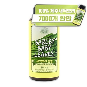 멜로우네이쳐 국산 제주 새싹보리 분말, 1개, 250g