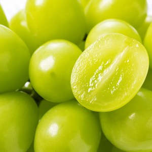 최고급특수품종 20bix 꿀범벅 씨없는 애플청포도, 1박스, 1kg 내외(1봉지)