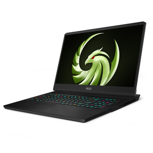 MSI 2023 알파 17 라이젠9 라이젠 7000 시리즈 지포스 RTX 4070, 블랙, 1TB, 16GB, Free DOS, MS-17K