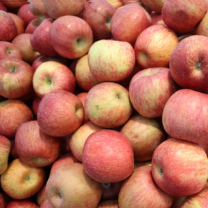 경북 청송 안동 고당도 가정용 꿀 사과, 1박스, 가정용사과2kg