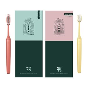치아성찰 초박형헤드 칫솔 (옵션선택), 1. 치아성찰 롱앤와이드