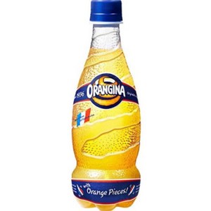 롯데칠성음료 오랑지나 420ml, 1개