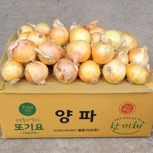 [또기요]장아치용 양파 10kg 실속형 국산 미니 양파(소) 산지직송 식당 가정용, 1개