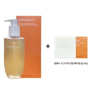 < 최신 정품 2024> 순행 클렌징폼 200ml 단품 + 시그니처 진생 솝 25g 증정, 1개