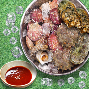 [석화굴 세트골라담기] 통영 석화 굴 가리비 삼배체굴 뿔소라, 1박스, 0. [세트구성] 석화 5kg + 홍가리비 3kg