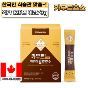 웰빙홀릭 카무트 효소 캐나다정품 프리미엄 발효효소 HACCP 30p, 1개, 90g