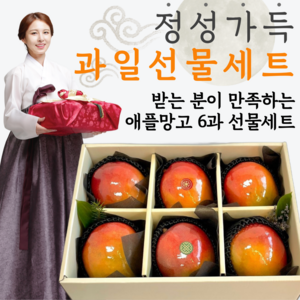 [올곧마켓 실패없는] 백화점 납품용 프리미엄 애플망고 고당도 선물세트, 6개
