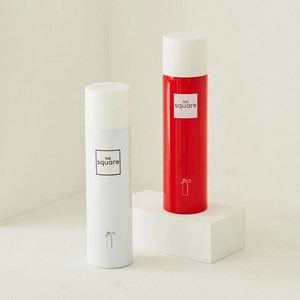 유저블 차량용 소화기 스프레이형 가정용 차량 자동차 휴대용 500g, 레드, 1개