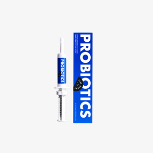 파이브빈스 프로바이오틱스 15ml