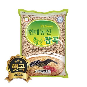 현대농산 국산 율무 2kg, 1개