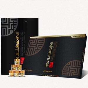 광동 일품기력보환 60환 침향환 쇼핑백증정 부모님 명절선물, 225g, 1개