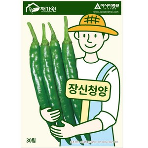 아시아종묘 씨앗 고추 장신청양 30립, 1개