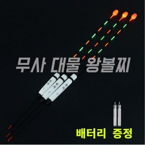 무사 대물 왕볼찌 1P + 배터리 425 2P 바다 민물전자찌 LED 전자찌 초고선명 고밀도 나노소재 카본다리 시인성 센서찌 스마트전자찌 광섬유 전자탑, 1호