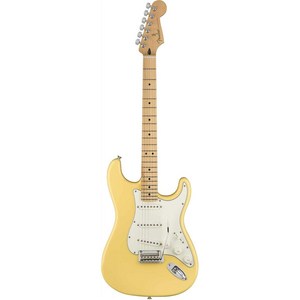 Fender 일렉트릭 기타 Player Stratocaster Maple Fingerboard Buttercream 버터 크림 144502534, 버터크림, 오른손잡이, 1개