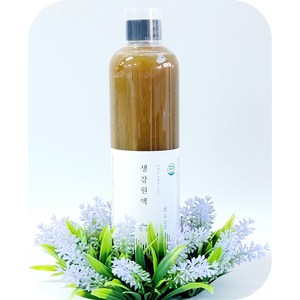 청농 생강원액, 600ml, 1개입, 1개