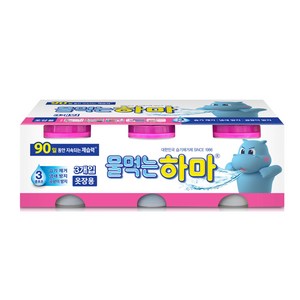 물먹는하마 옷장용, 300g, 12개