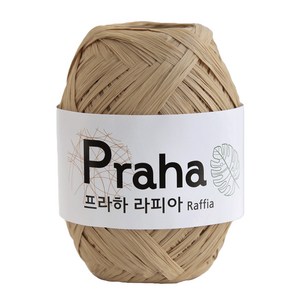[니트박스 뜨개실] 프라하 라피아 종이실, 05.베이지, 1개