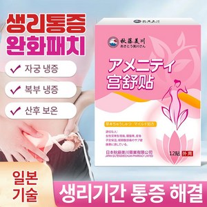 생리통 패치 생리통완화 TJ-12, 2세트, 12개입