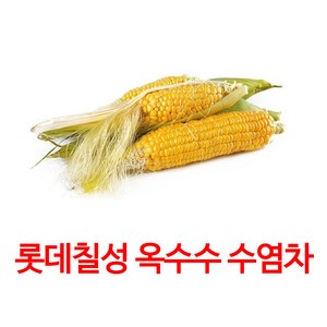 가벼운 매력 옥수수 수염차, 500ml, 24개